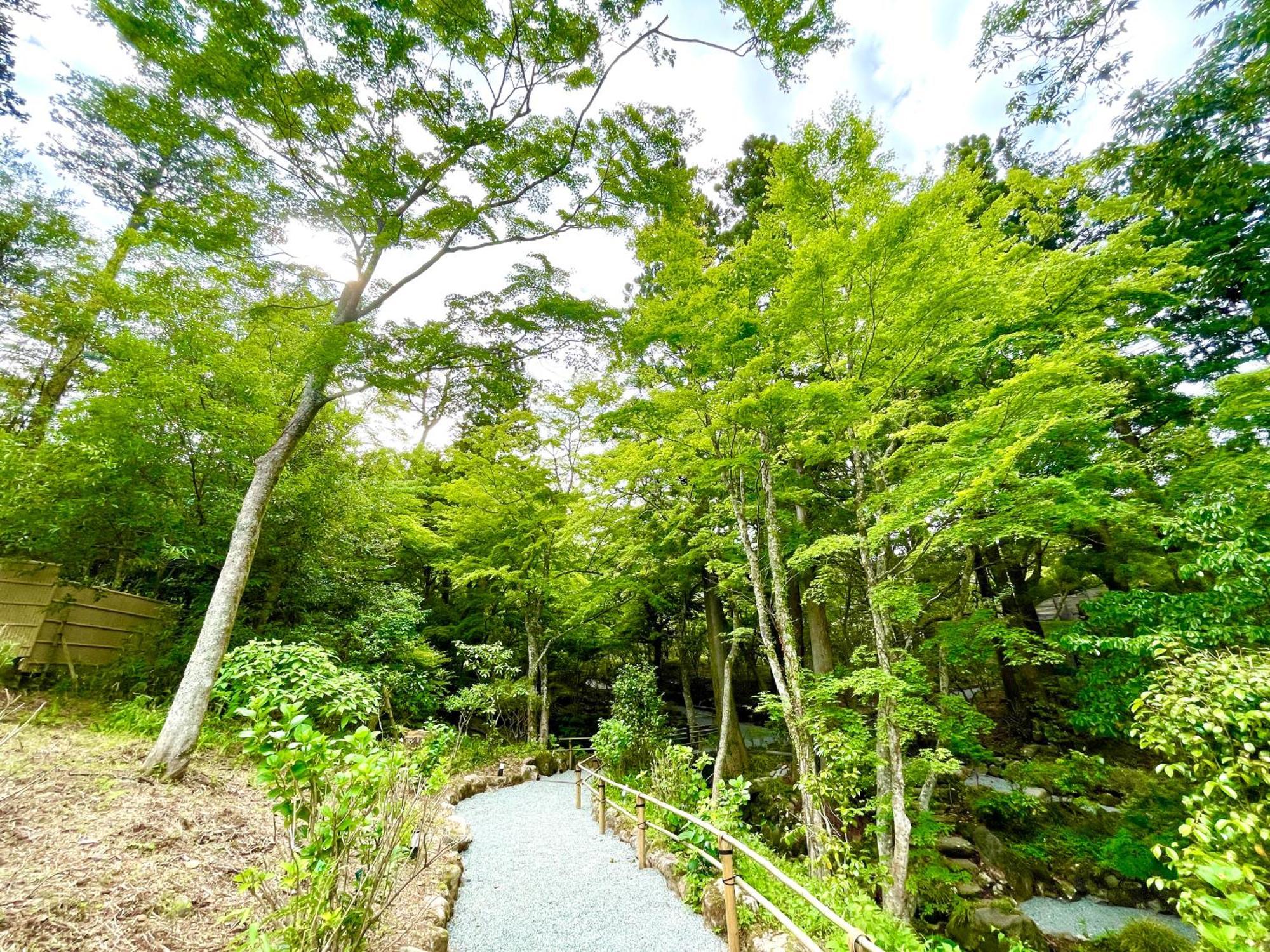 Hakone Kowakien Hotel Kültér fotó